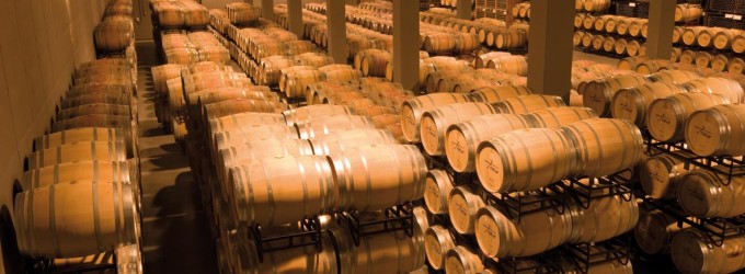 Seguros para Bodegas y almazaras