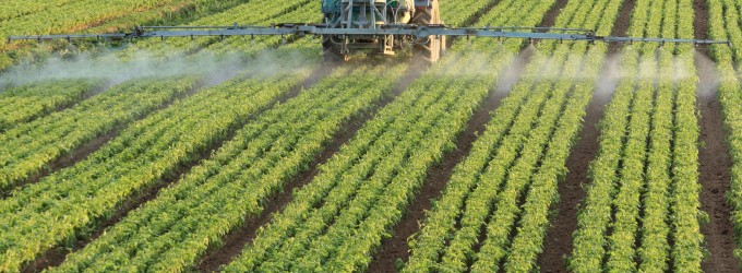 Agroseguros: Cosechas y producción Agroseguros: Cosechas y producción