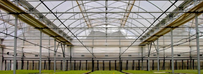 Seguros para Invernaderos y explotaciones agropecuarias Seguros para Invernaderos y explotaciones agropecuarias